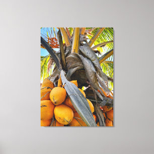 Golden Coconuts Canvas Print