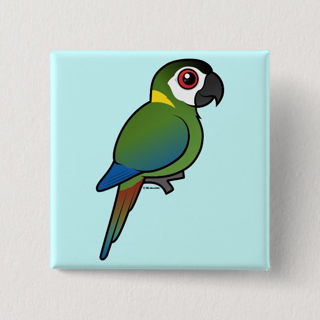 Golden-collared Macaw 2 Inch Square Button (Front)
