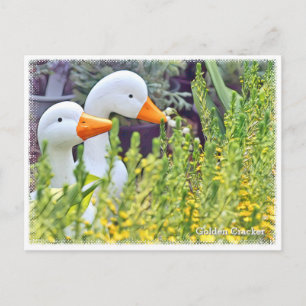 Golden Cracker Postcard