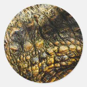 Golden Crocodile Skin Texture Close Up Classic Round Sticker