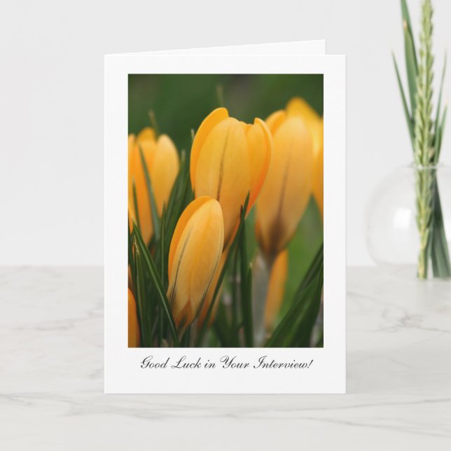 Golden Crocuses - Good Luck in Your Interview Card (Front)