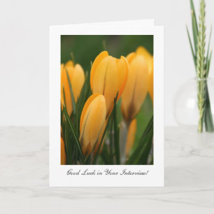 Golden Crocuses - Good Luck in Your Interview Card