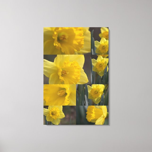 Golden Crown Narcissus (Daffodil) Photo Collage Canvas Print (Front)