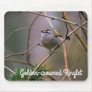 Golden-Crowned Kinglet Mouse Pad