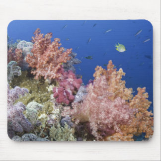 Golden Damselfish (Amblyglyphidodon aureus), Mouse Pad