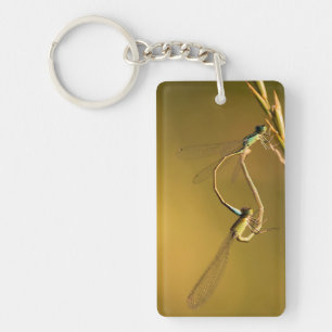 Golden Damselflies Original Macro Photography Keychain