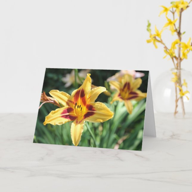 Golden Daylily Blank Inside Personal Message Card (Yellow Flower)