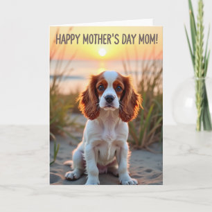 Golden Dog Beach Scene Card