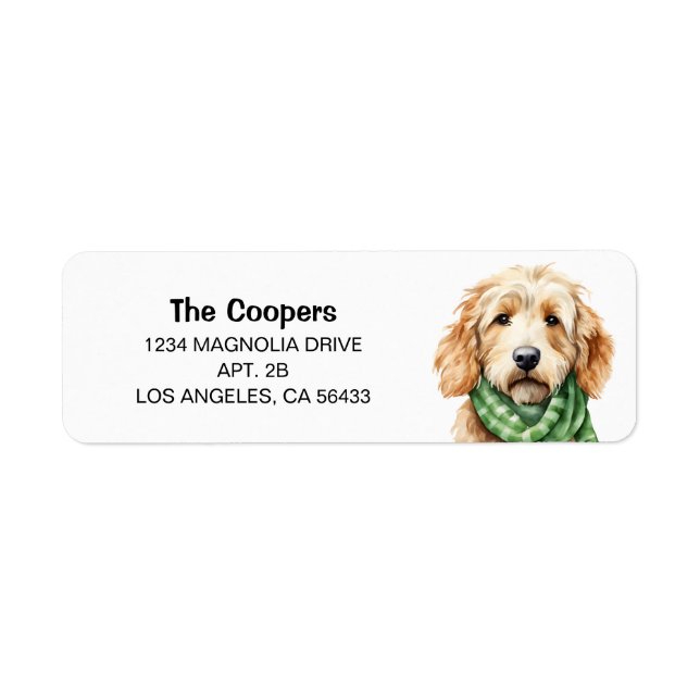 Golden Doodle Adresse (Devant)