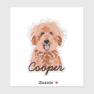 Golden Doodle Apricot Custom Dog Name