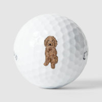 Golden doodle dog