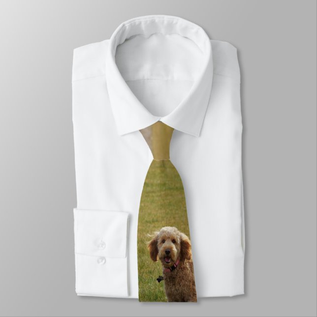 Golden Doodle Dog Tie (Tied)