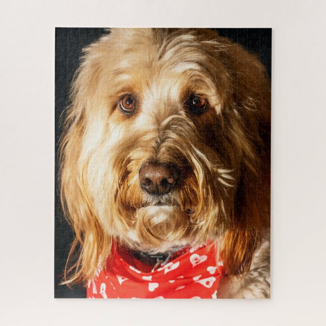 Golden doodle Puppy Dog Jigsaw Puzzle (Vertical)