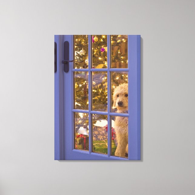 Golden Doodle puppy looking out glass door with Canvas Print (Front)