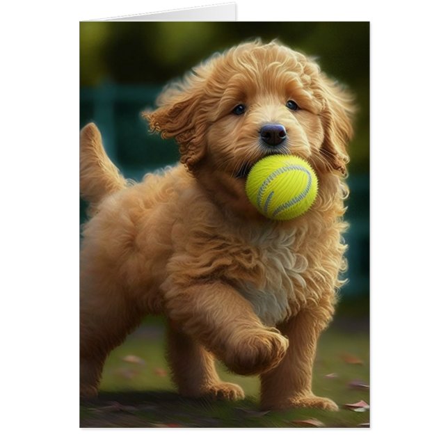 Golden Doodle Puppy Plays Ball All Occasions Greet (Front)
