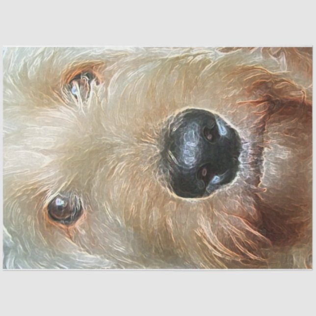 Golden Doodle Tissue Paper for gifts and decoupage (Front)