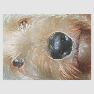 Golden Doodle with big black squishy nose Tissue  Tissue Paper
