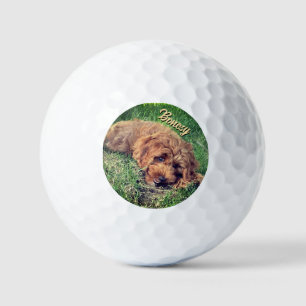 Golden Doodle With Text Golf Balls