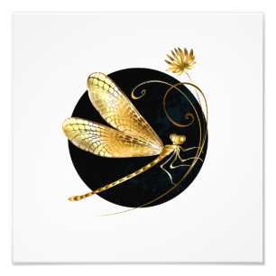 Golden dragonfly in black circle photo print