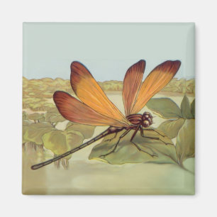 Golden Dragonfly Magnet