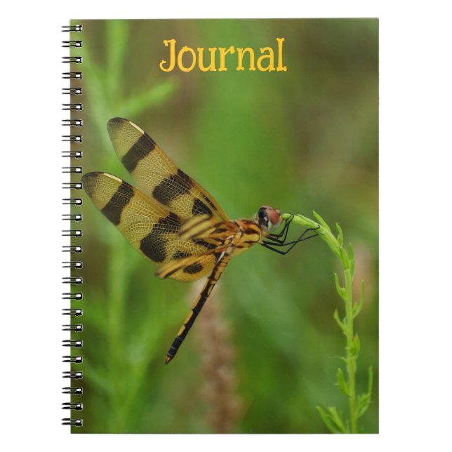 Golden Dragonfly Personal Journal (Front)