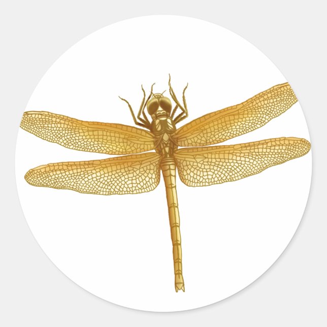 Golden Dragonfly Sticker (Front)