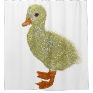 golden duck