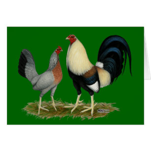 Golden Duckwing Chickens