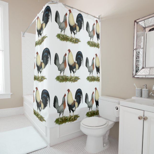 Golden Duckwing Chickens (In Situ)