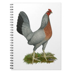 Golden Duckwing Hen Notebook