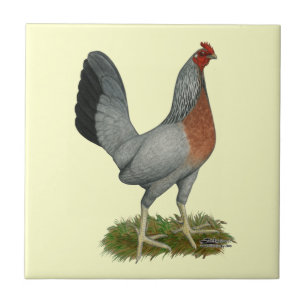 Golden Duckwing Hen Tile