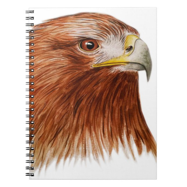 Golden Eagle 2011 Notebook (Front)