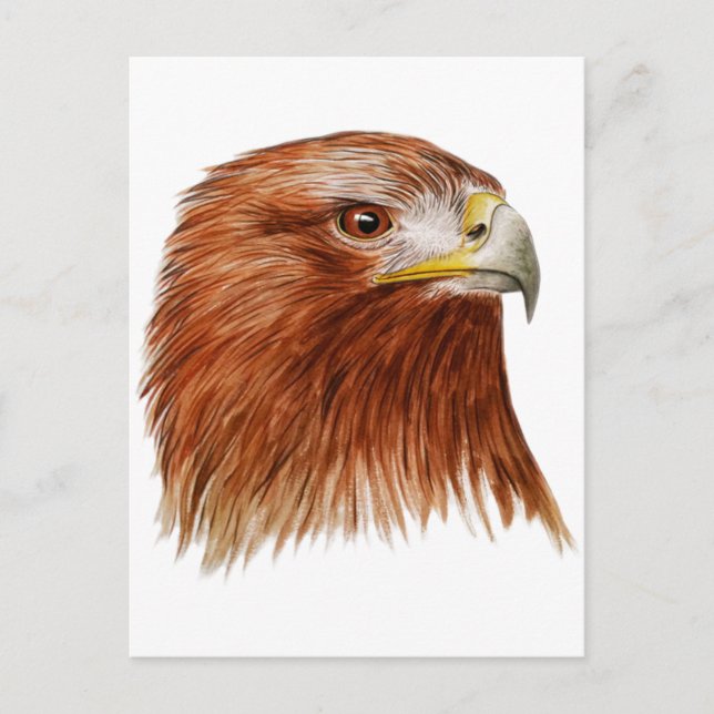 Golden Eagle 2011 Postcard (Front)