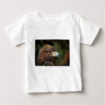 golden eagle