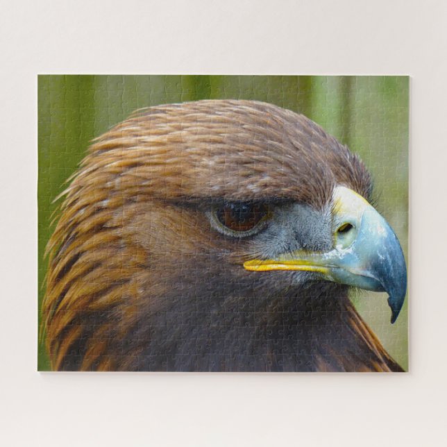 Golden Eagle Bird of Prey. Jigsaw Puzzle (Horizontal)
