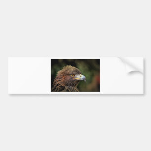 golden eagle bumper sticker