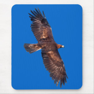 Golden Eagle in Flight Mousemat (Blue) Mouse Pad