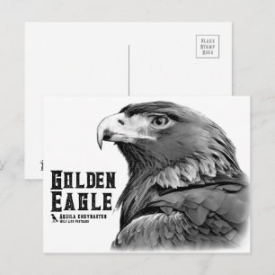 Golden Eagle Postcard