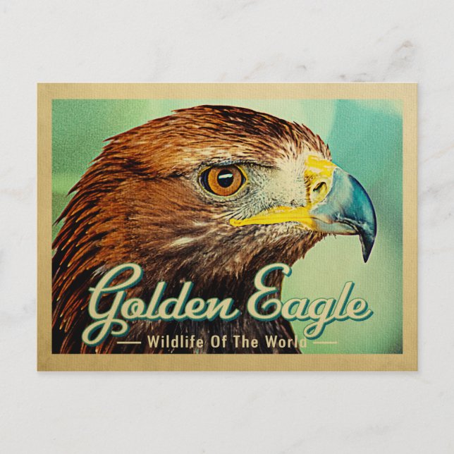 Golden Eagle Postcard - Wildlife of the World Bird (Front)
