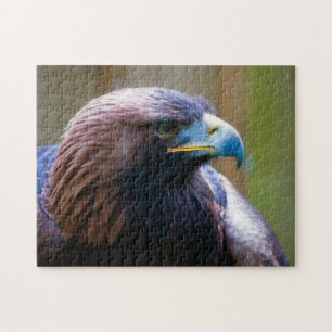 Golden Eagle puzzle