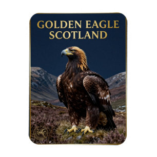 🦅 Golden Eagle Scotland Highland Bird Magnet