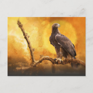 Golden Eagle THE GOLDEN ONE Postcard