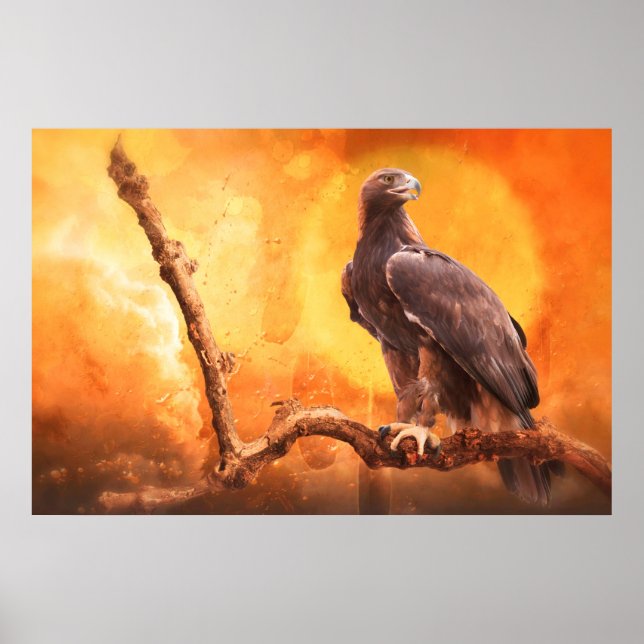 Golden Eagle THE GOLDEN ONE Poster (Front)