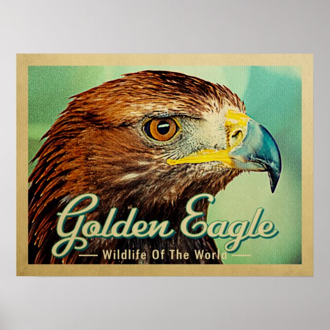 Golden Eagle - Wildlife of the World Bird Poster (Front)