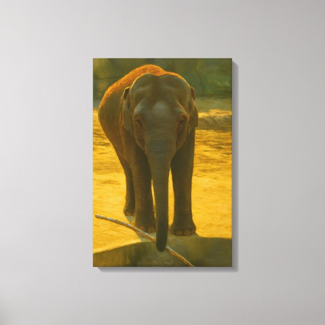 Golden Elephant Wisdom – Majestic Wildlife Canvas Print (Front)