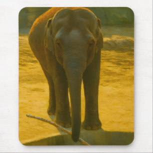 Golden Elephant Wisdom – Majestic Wildlife Mouse Pad