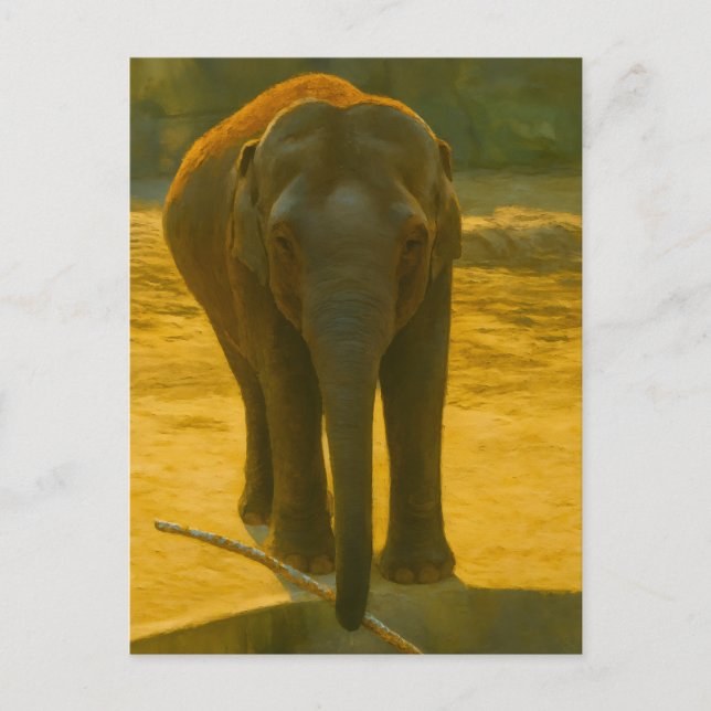 Golden Elephant Wisdom – Majestic Wildlife Postcard (Front)