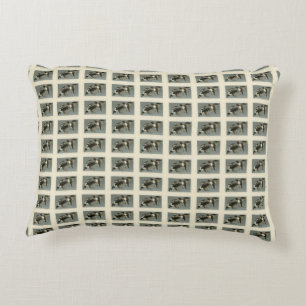 Golden-Eye Duck - from Audubon's Birds of America Accent Pillow