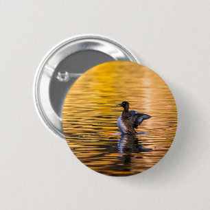 Golden eye on a golden lake 2 inch round button