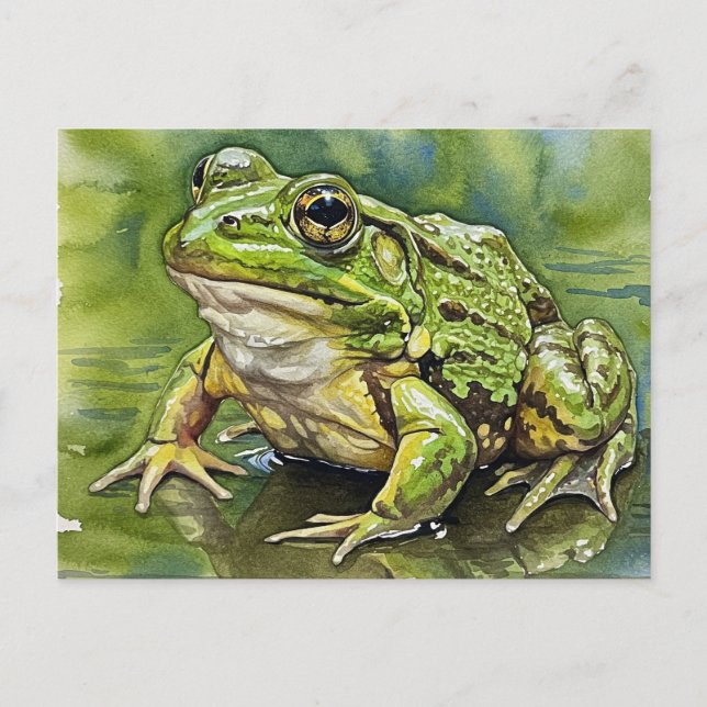 Golden-Eyed Frog Postcard for Postcrossing (Front)